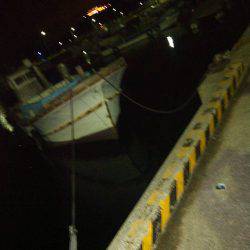 電話しなが釣りの巻